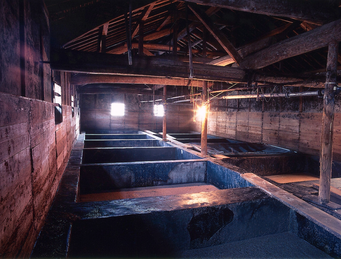 1826醤油の発酵・熟成が行われる歴史ある醸造蔵