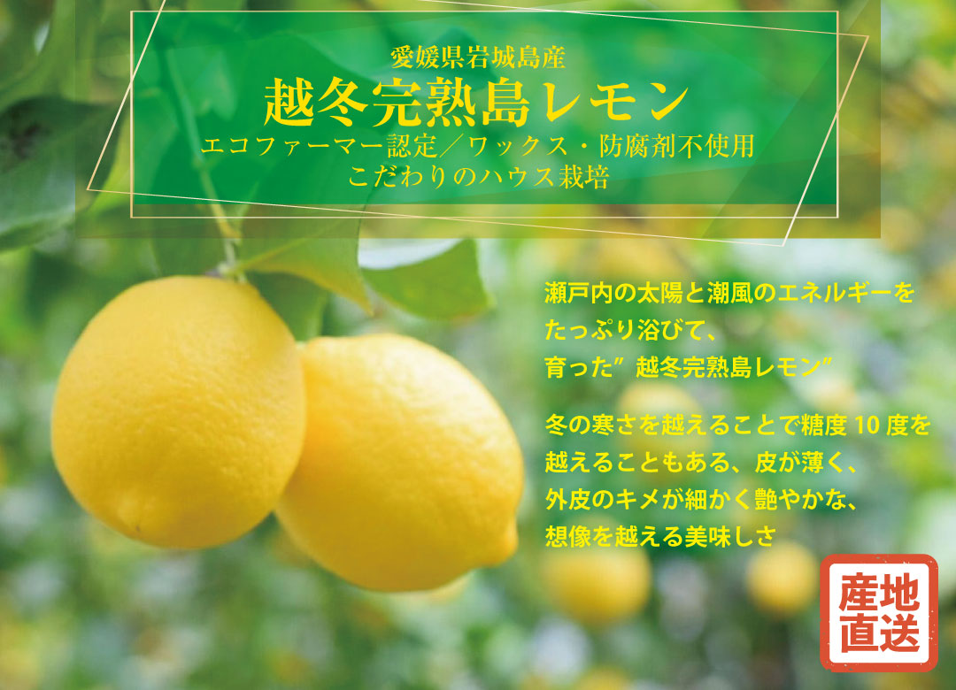 マイ穀ストア 食べることで元気になる「食スタイル」MAIKOKU～ 国産